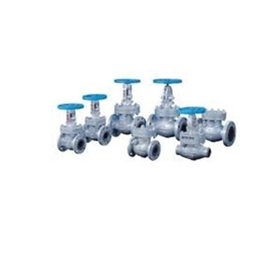 UTM Check Valve